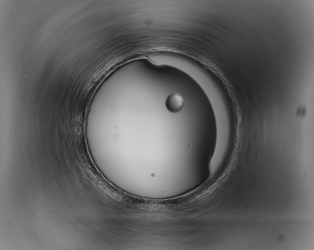 X0000115250785200911201641