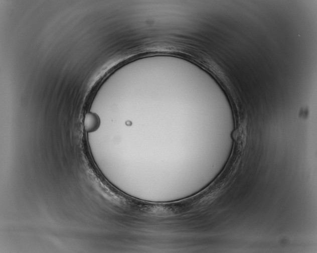 X0000115250787200911201641