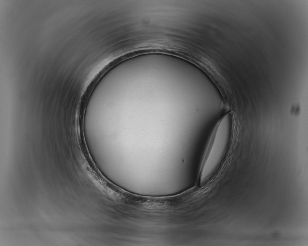 X0000115250788200911201641