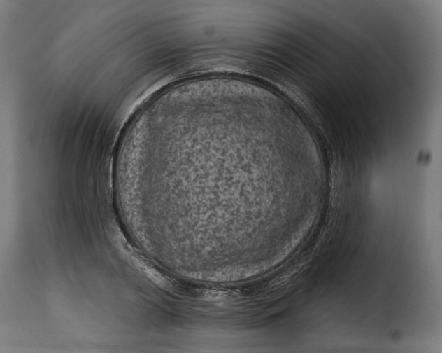 X0000115250790200911201641