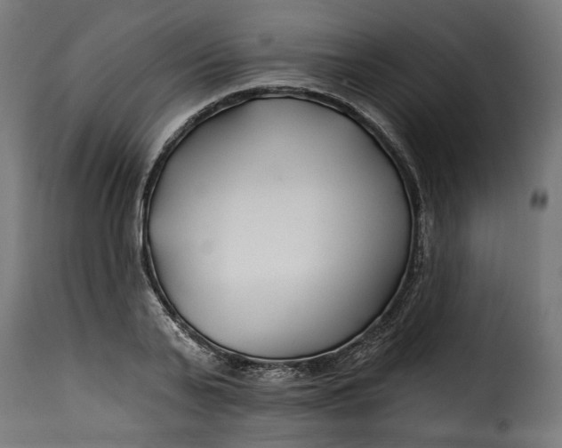 X0000115250791200911201641