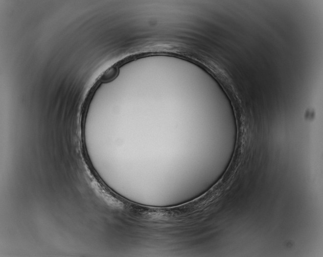 X0000115250792200911201641