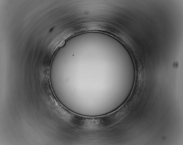 X0000115250793200911201641