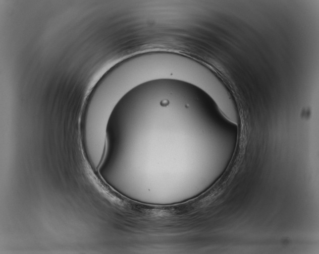 X0000115250796200911201641