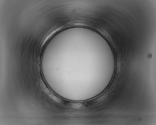 X0000115250798200911201641