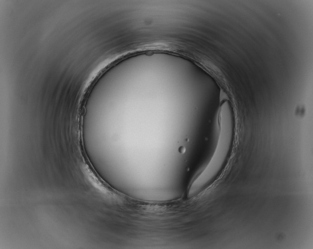 X0000115250800200911201641