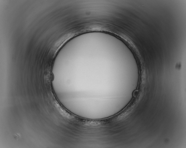 X0000115250801200911201641