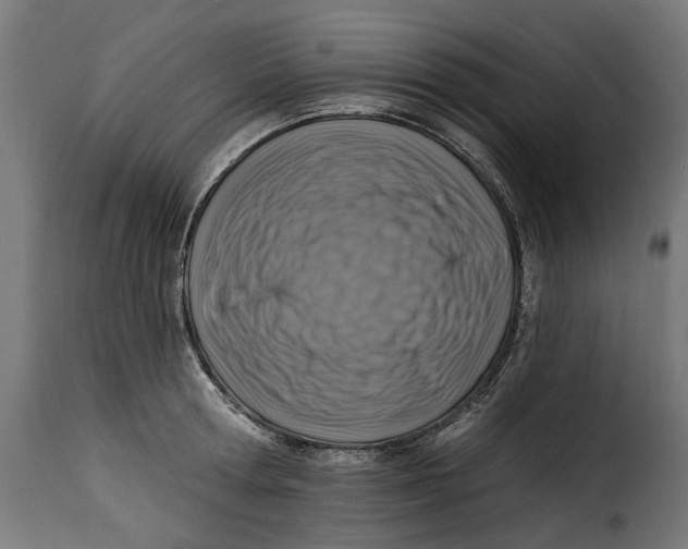 X0000115250802200911201641