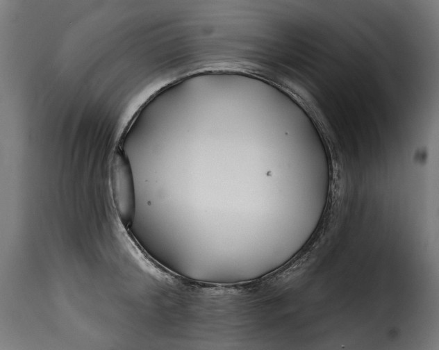 X0000115250804200911201641