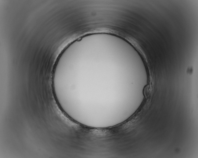 X0000115250805200911201641