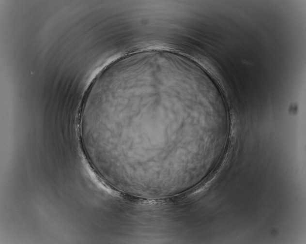 X0000115250806200911201641