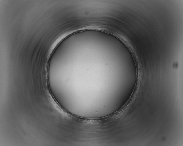 X0000115250808200911201641