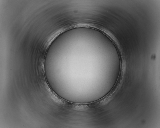 X0000115250809200911201641