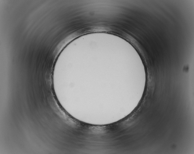 X0000115250810200911201641