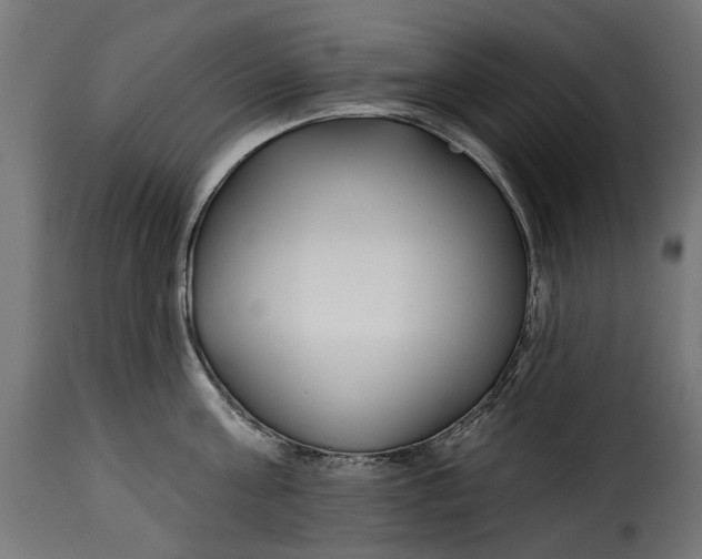 X0000115250811200911201641