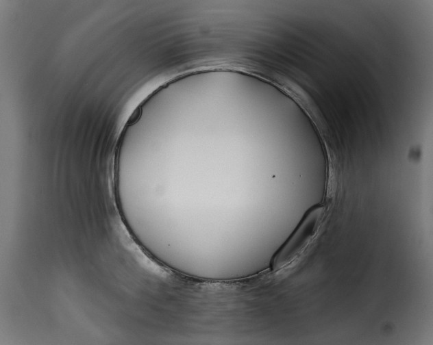 X0000115250812200911201641