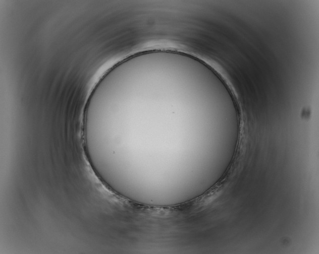 X0000115250815200911201641