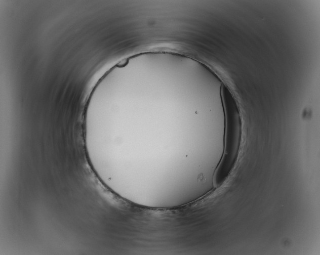 X0000115250816200911201641