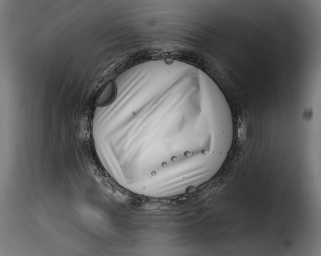 X0000115250819200911201640