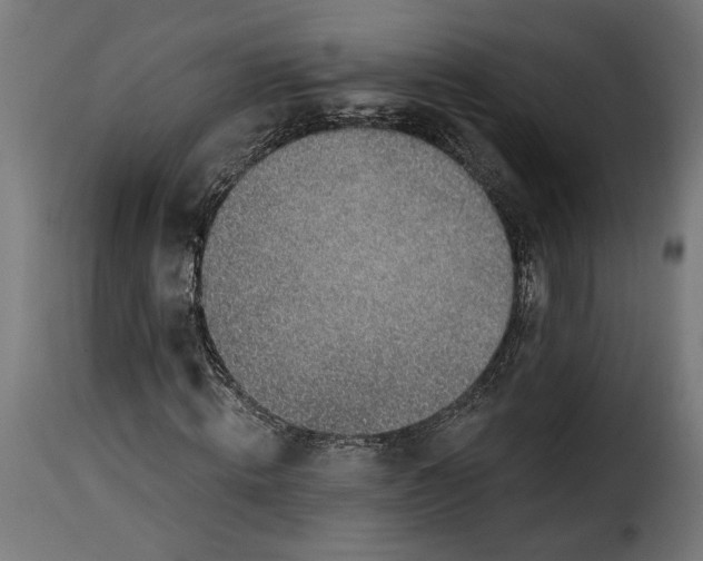 X0000115250820200911201640