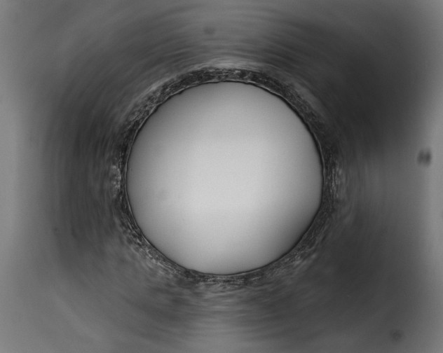 X0000115250821200911201640