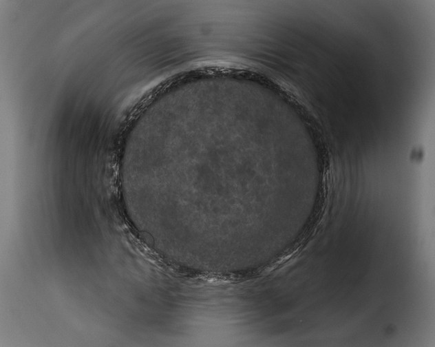 X0000115250822200911201640