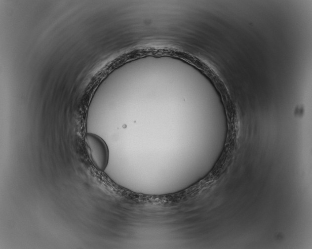 X0000115250823200911201640