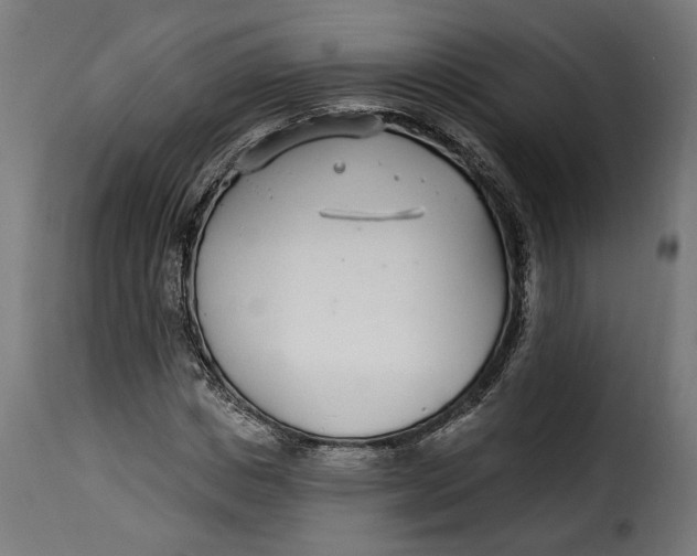 X0000115250825200911201640