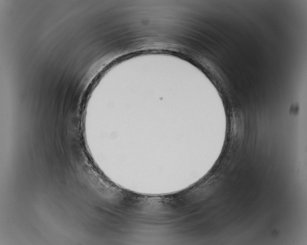 X0000115250828200911201640