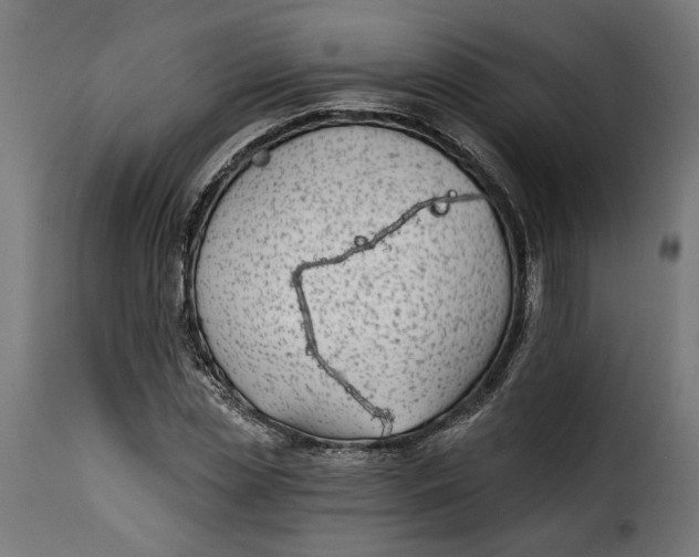 X0000115250829200911201640