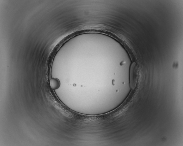 X0000115250830200911201640