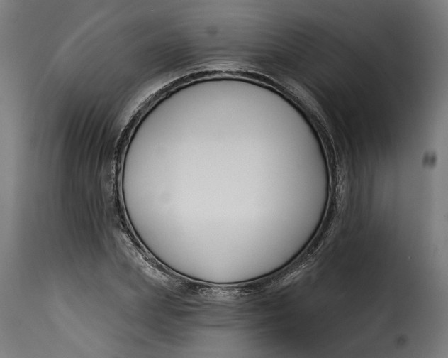 X0000115250831200911201640