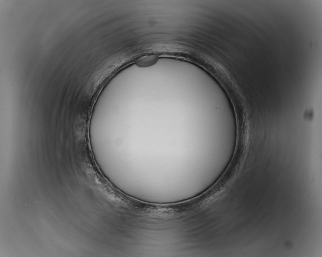 X0000115250833200911201640