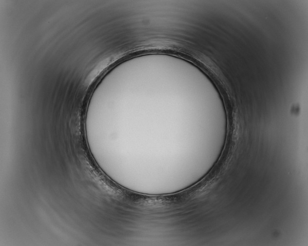 X0000115250834200911201640