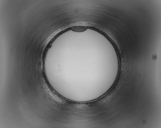 X0000115250837200911201640