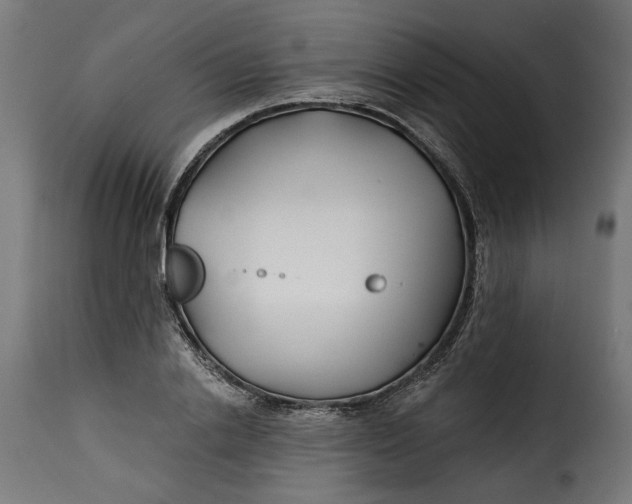 X0000115250838200911201640