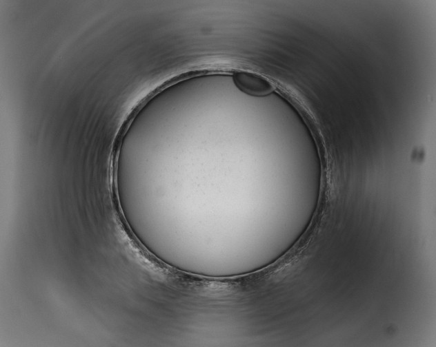 X0000115250839200911201640