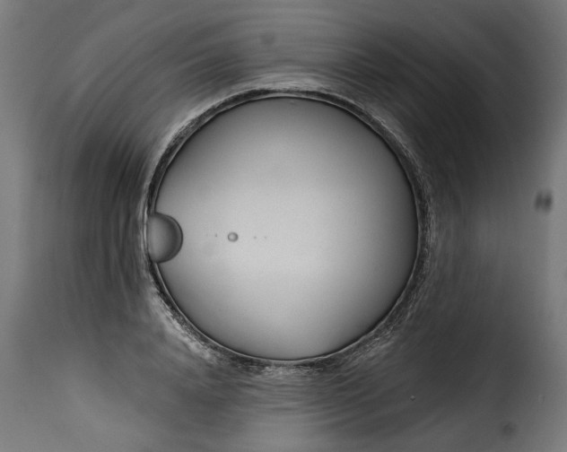 X0000115250840200911201640