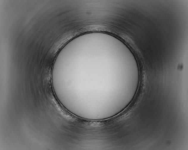 X0000115250841200911201640