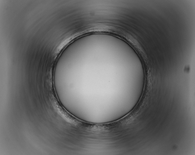 X0000115250842200911201640