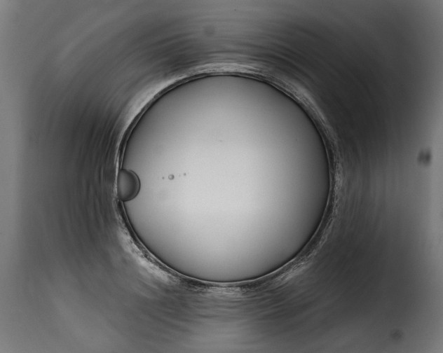 X0000115250844200911201640