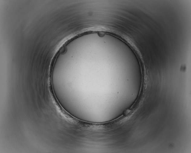 X0000115250845200911201640