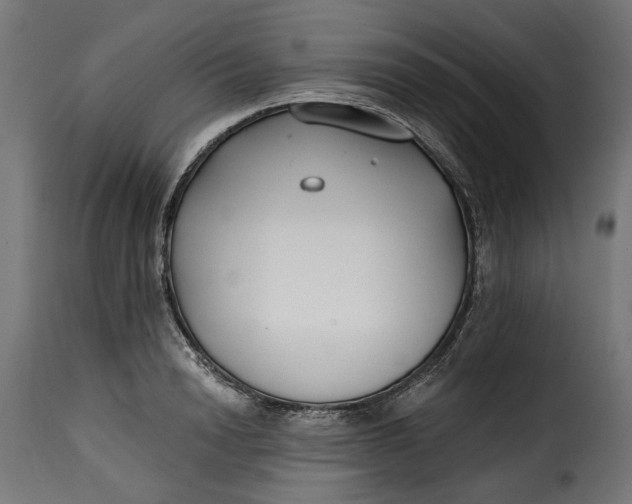 X0000115250846200911201641