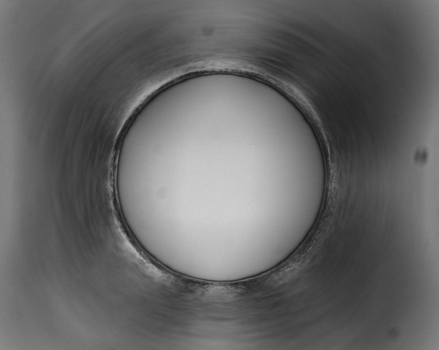 X0000115250847200911201641