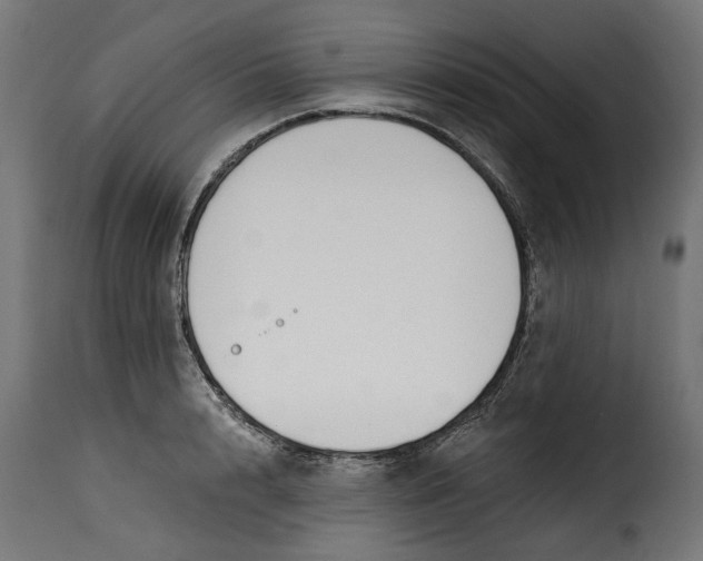 X0000115250848200911201641