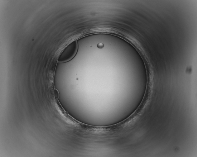 X0000115250849200911201641