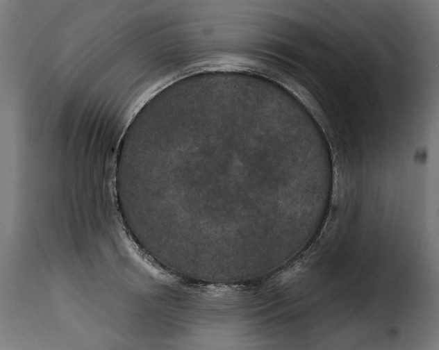 X0000115250850200911201641