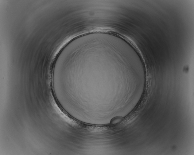 X0000115250851200911201641