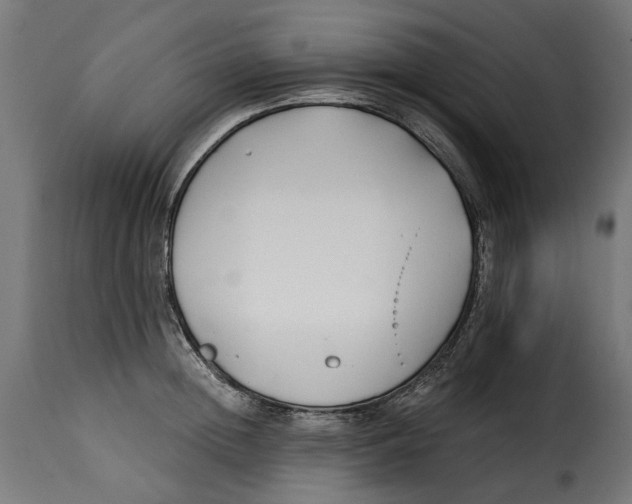 X0000115250852200911201641