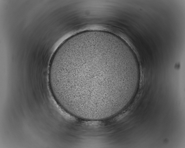 X0000115250853200911201641